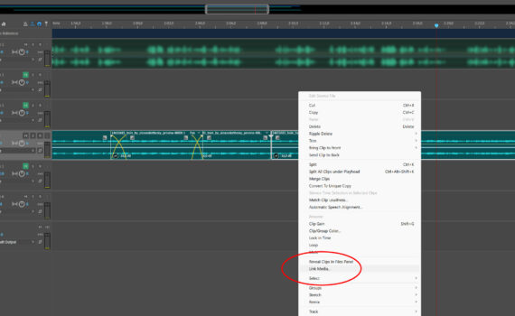 Screenshot Adobe Audition Link Media